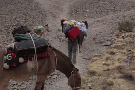 Murió una maestra en las altas montañas de Iruya