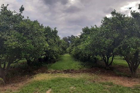 Productores en alerta por el aumento de la tarifa de energía