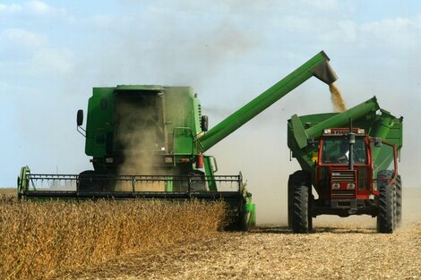 Récord en el ingreso de divisas del agro: 3.500 millones de dólares en mayo