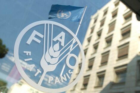 El índice de FAO subió 4,8% en mayo