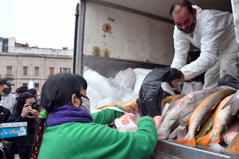 "Pescadazo" para visibilizar el potencial de un grupo capturado por los exportadores