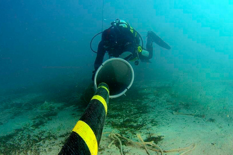 Google anunció la llegada de un nuevo cable submarino a la Argentina, "Firmina"