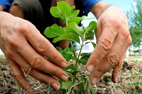 "No queremos más un país con hambre, ni productores sin tierra".