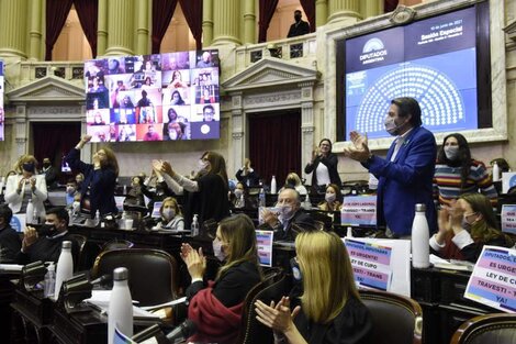 Los legisladores aplauden la sanción de la norma en el Congreso.  (Fuente: Prensa de Diputados)