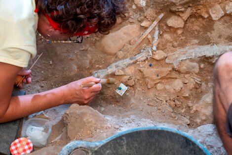 Arqueólogos encontraron en Cataluña los restos de "Lynia", una mujer Homo Sapiens 