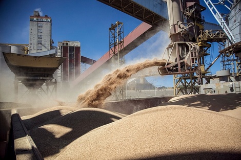 El precio de la soja en el sube y baja