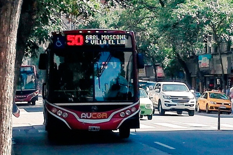 Paro de colectivos en Córdoba: los choferes retoman la actividad