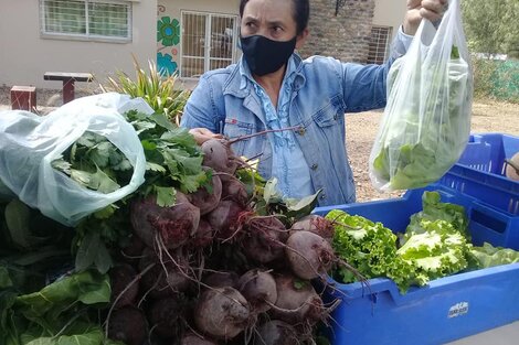 El Mercado Vaquereño celebra aniversario y sigue apostando por la agroecología