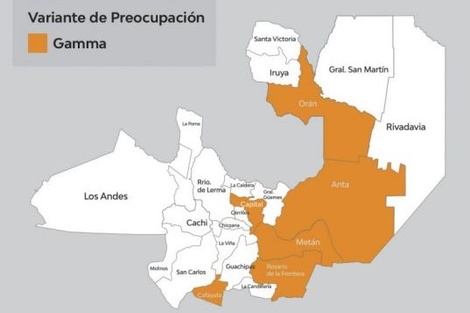 Hay circulación comunitaria de la variante Manaos en Salta