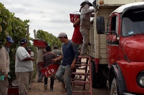 Traficaban personas en medio de ladrillos 