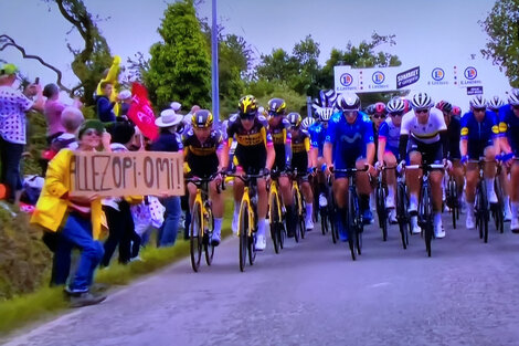 Una espectadora se metió en el Tour de France y causó un accidente de escándalo