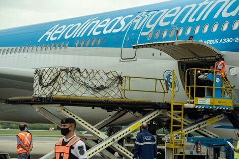 La Argentina terminaría junio recibiendo un total de 8.200.000 vacunas, todo un record.