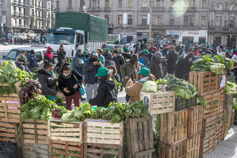 Verdurazo en el Congreso para reclamar la Ley de Acceso a la Tierra