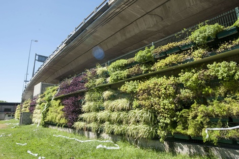 Ciudad: denuncian gastos millonarios en ítems como jardines verticales 