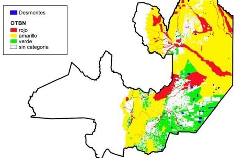 Greenpeace rechazó una invitación del gobierno de Salta por los bosques nativos