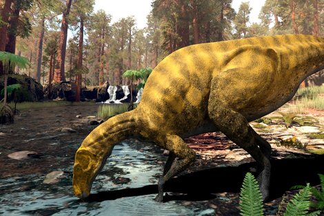 Descubrieron en España los restos de una especie desconocida de dinosaurio