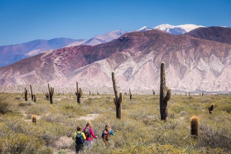 El turismo generó un impacto de $183 millones