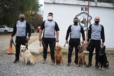 Catamarca ayudará en la búsqueda de Guadalupe Lucero con canes rastreadores