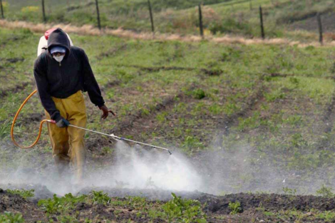 Pediatras advierten de los efectos nocivos de los agroquímicos en las infancias 