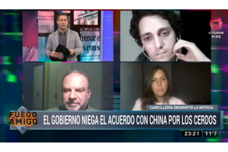 Polémica por la producción de cerdo en Argentina para China 