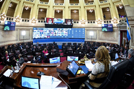 El proyecto fue acompañado por senadores de distintas provincias, incluso de Juntos por el Cambio.