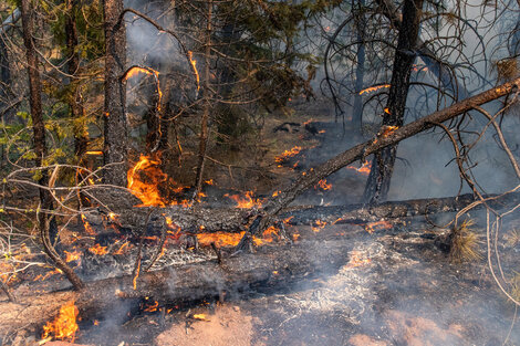 Incendios titánicos en Estados Unidos