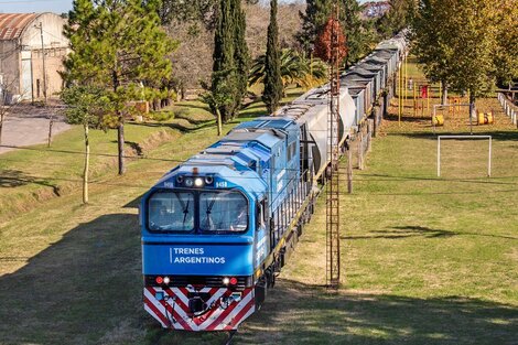 Trenes: Obras en el transporte de cargas