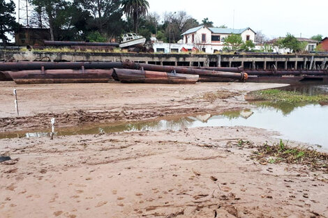 Bajante del Paraná: la situación en Entre Ríos