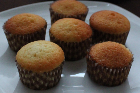 Pedirán a los gobiernos de Salta y Buenos Aires que retiren un muffin de soja