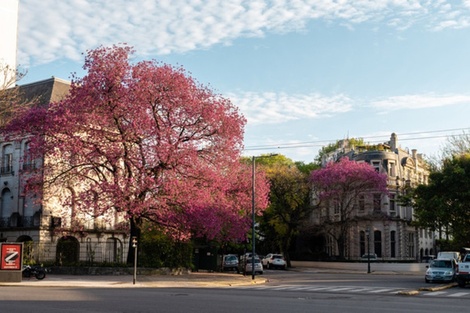 Clima en Buenos Aires: pronóstico del tiempo para este domingo 1º de agosto