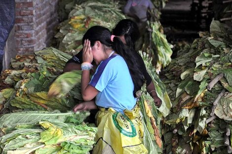 En pandemia, más trabajo infantil