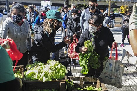 Salta adhirió a la ley nacional para reducir pérdidas y desperdicios de alimentos