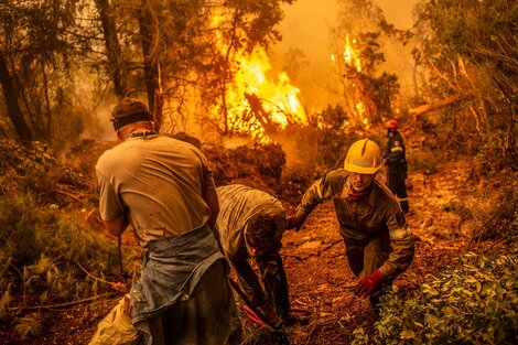 Grecia: los bomberos luchan contra los incendios para salvar la isla de Eubea