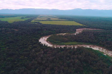 Un río de Jujuy podría ser el primer paisaje protegido fluvial de América Latina