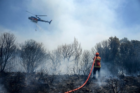 Francia: miles de personas evacuadas en la Costa Azul por un incendio forestal