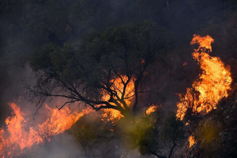 Incendios en Córdoba: "peligrosidad extrema" en toda la provincia