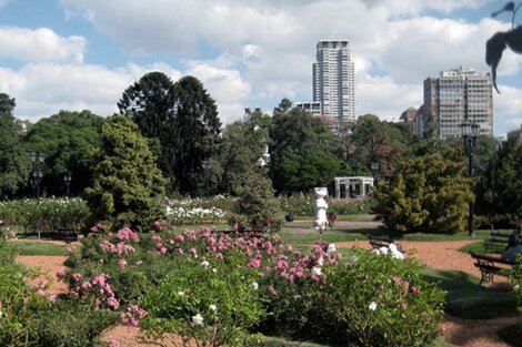 Clima en Buenos Aires: el pronóstico del tiempo para este miércoles 25 de agosto