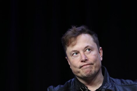 Starlink y la amenaza menos pensada por Elon Musk: registran errores de conexión en la versión beta por las palomas