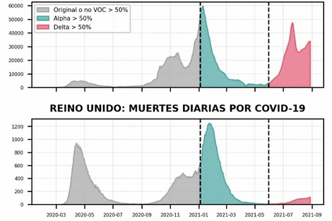 Variante Delta, qué pasará en Argentina.