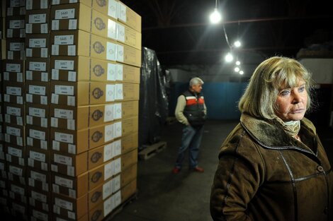 PASO 2021: las personas con coronavirus estarán exceptuadas de ir a votar en CABA