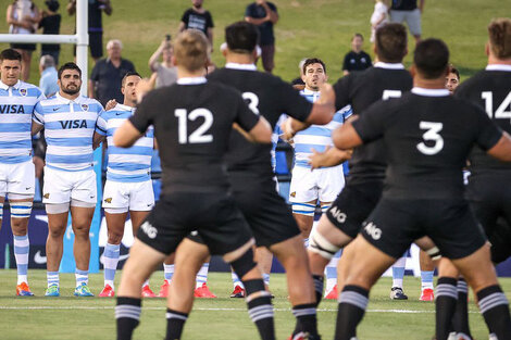 Rugby Championship: Los Pumas cayeron 39-0 ante los All Blacks