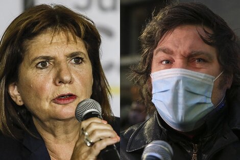 Bullrich y Milei, ¿futuros aliados?