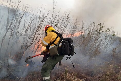 Nuevos incendios en las islas del Delta