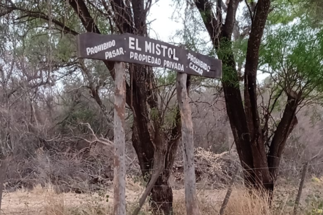 Empresario salteño quiere desmontar en una zona de uso campesino en Jujuy