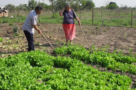 Piden la intervención de legisladores para reincorporar a 4 trabajadores