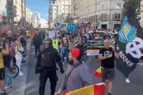 Neonazis realizaron una marcha homofóbica y racista en Madrid