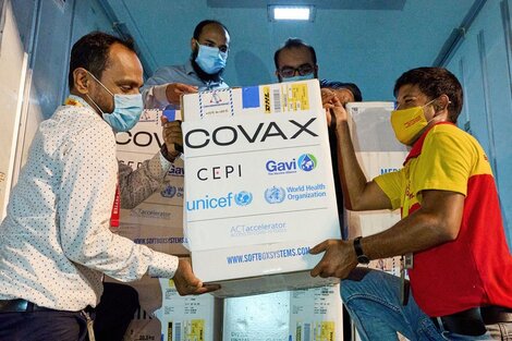 India anunció que volverá a exportar vacunas anti covid a partir de octubre