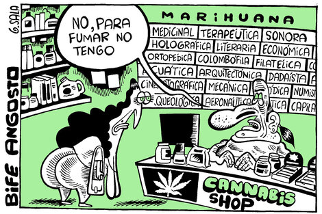 Cannabis Shop
