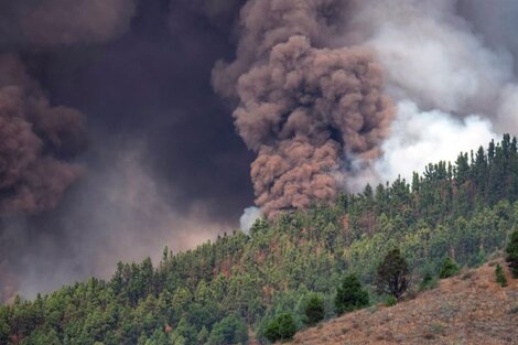 Erupción del volcán Cumbre Vieja: reabrió el aeropuerto de La Palma