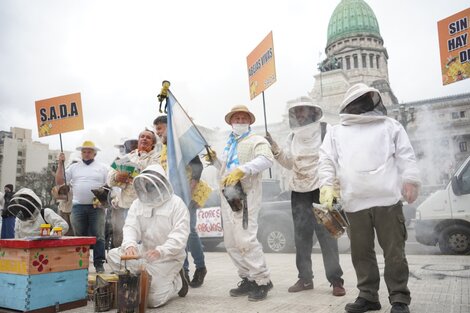 Abejazo frente al Congreso para exigir cultivos y alimentos sin agrotóxicos